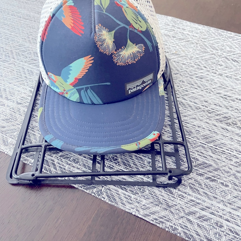 Patagonia hat